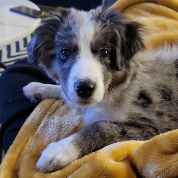 Meet your Posher, James - Picture 1 of 1